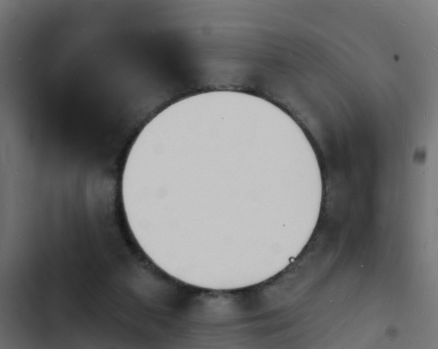 X0000103970113200809261843