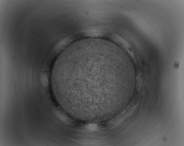 X0000103970114200809261843