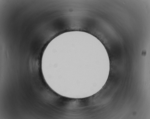 X0000103970116200809261842