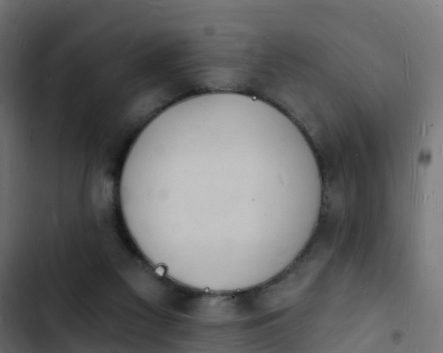 X0000103970117200809261842