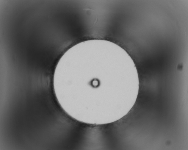 X0000103970120200809261842