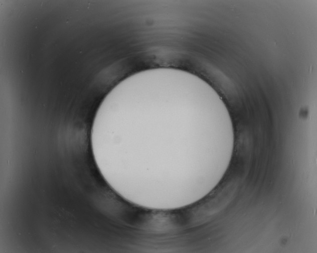 X0000103970121200809261842