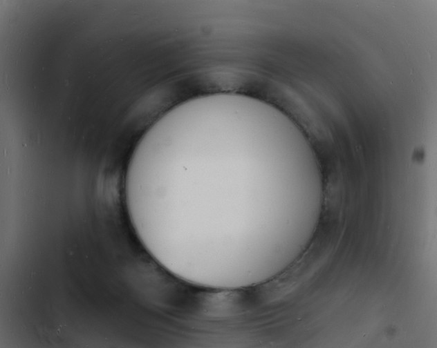 X0000103970122200809261842