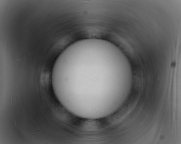 X0000103970123200809261842