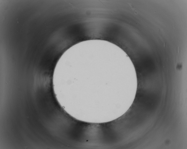 X0000103970124200809261842