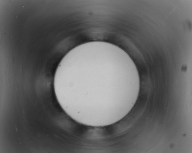 X0000103970125200809261842