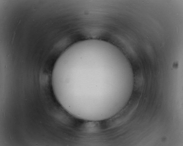 X0000103970126200809261842