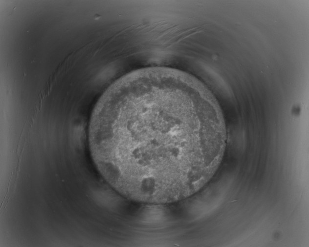 X0000103970127200809261842