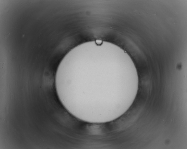 X0000103970129200809261842