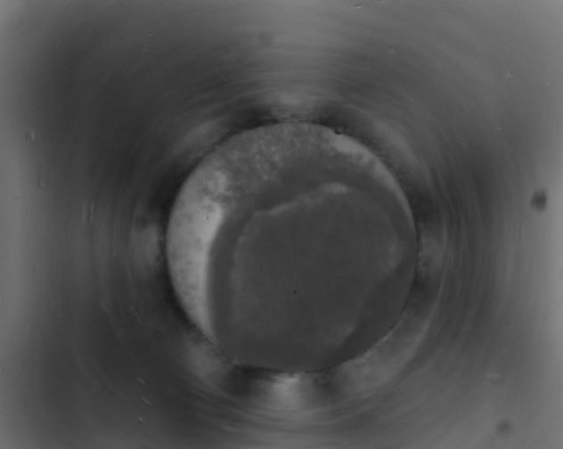 X0000103970130200809261842