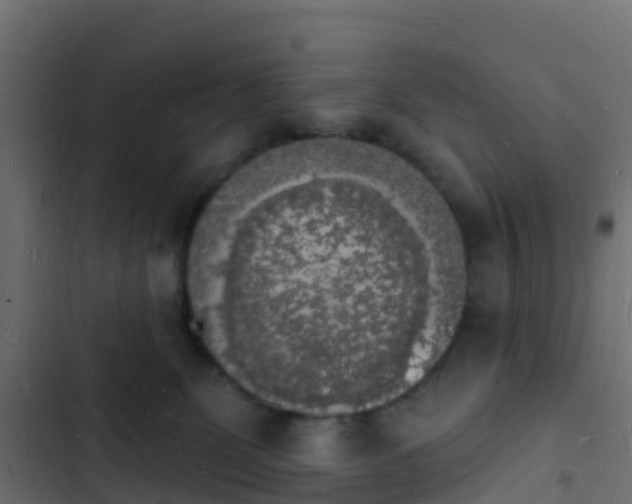 X0000103970131200809261842