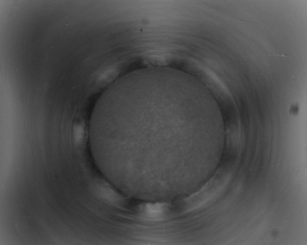 X0000103970134200809261842