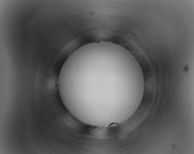 X0000103970138200809261842