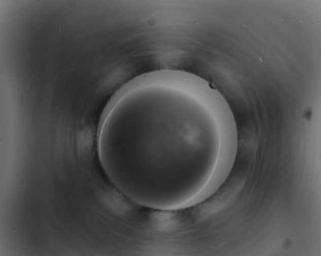 X0000103970139200809261842