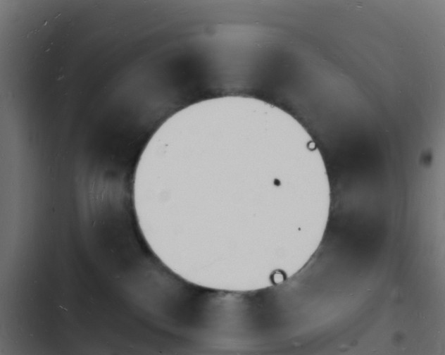 X0000103970140200809261842