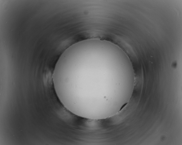 X0000103970142200809261842