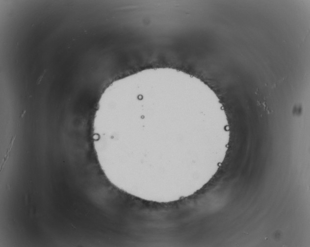 X0000103970144200809261842