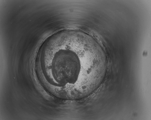 X0000103970145200809261841