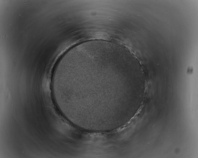 X0000103970146200809261841