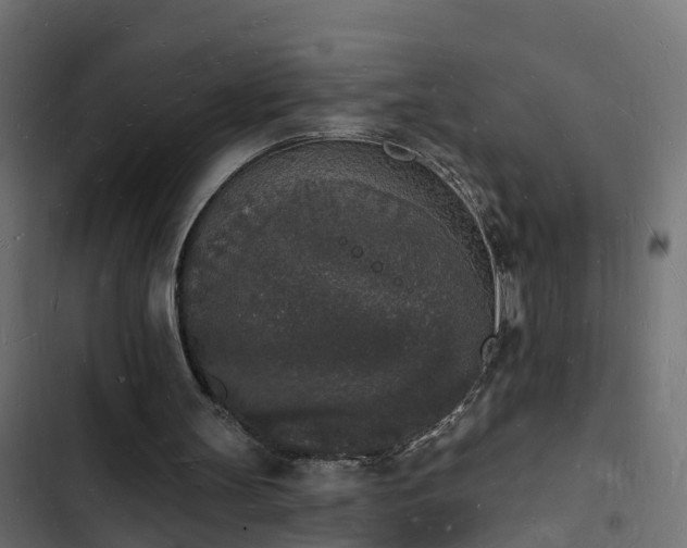 X0000103970147200809261841