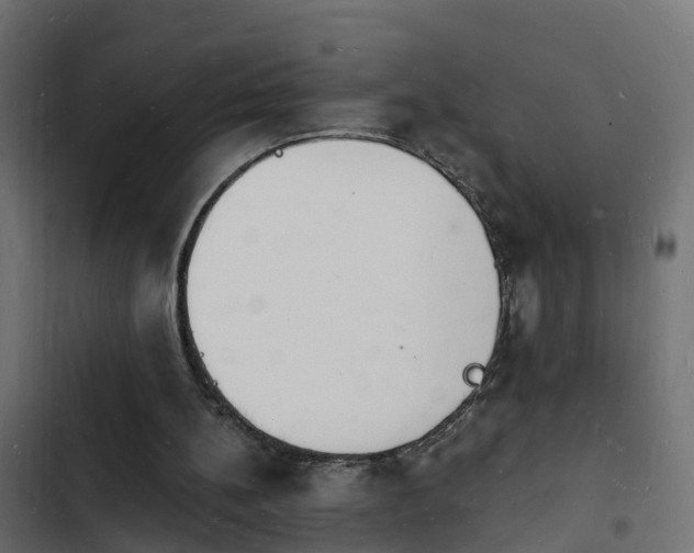 X0000103970148200809261841