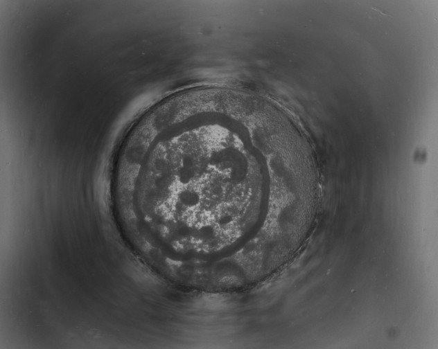 X0000103970149200809261841