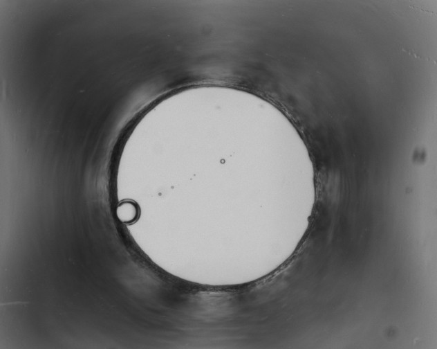 X0000103970150200809261841