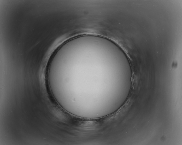 X0000103970151200809261841