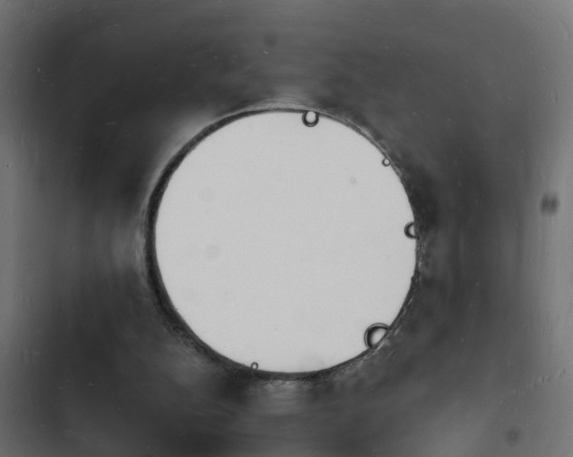 X0000103970152200809261841