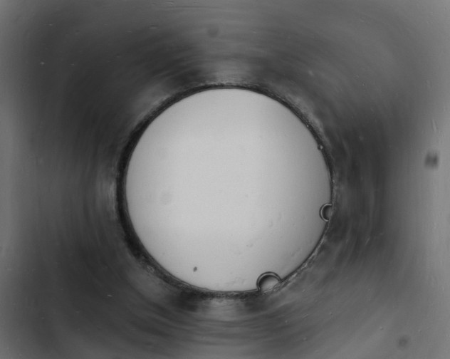 X0000103970154200809261841