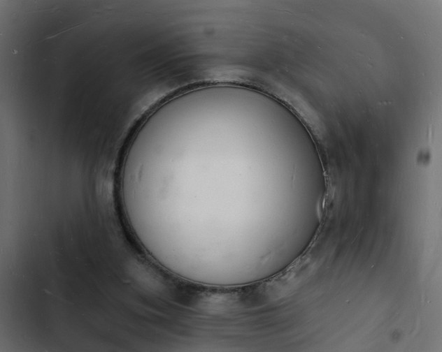 X0000103970155200809261841