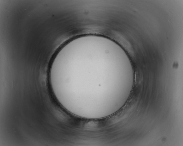 X0000103970156200809261841