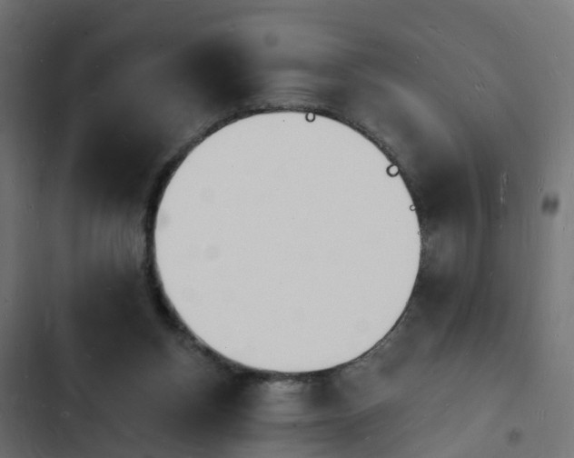 X0000103970158200809261841