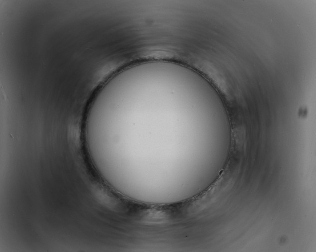 X0000103970159200809261841