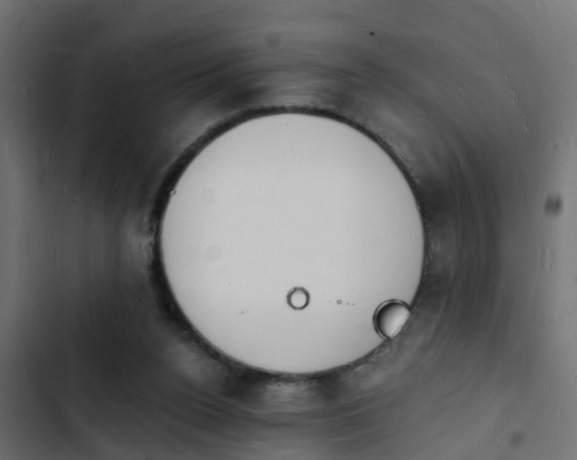 X0000103970160200809261842