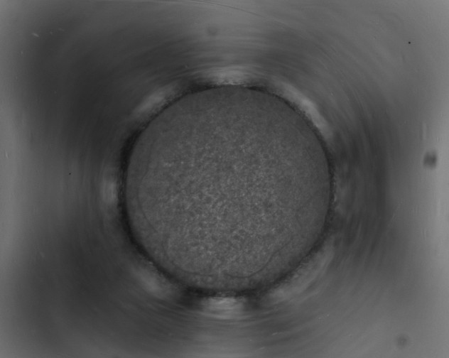 X0000103970161200809261842