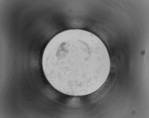 X0000103970162200809261842