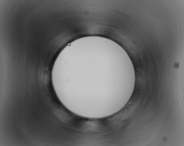 X0000103970164200809261842