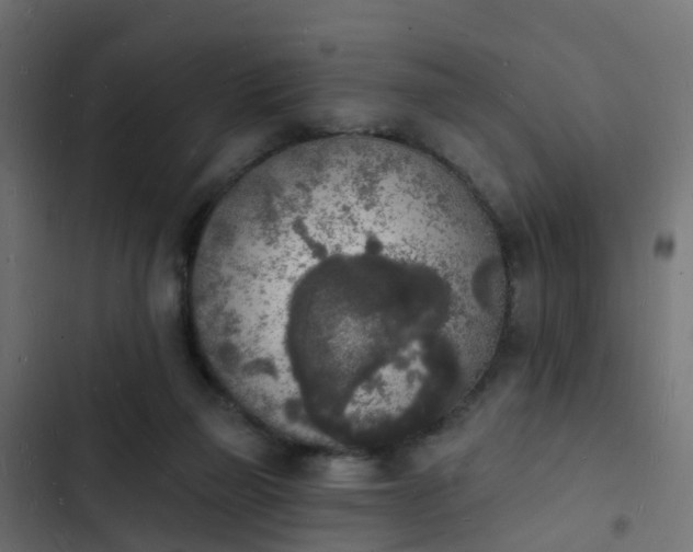 X0000103970165200809261842