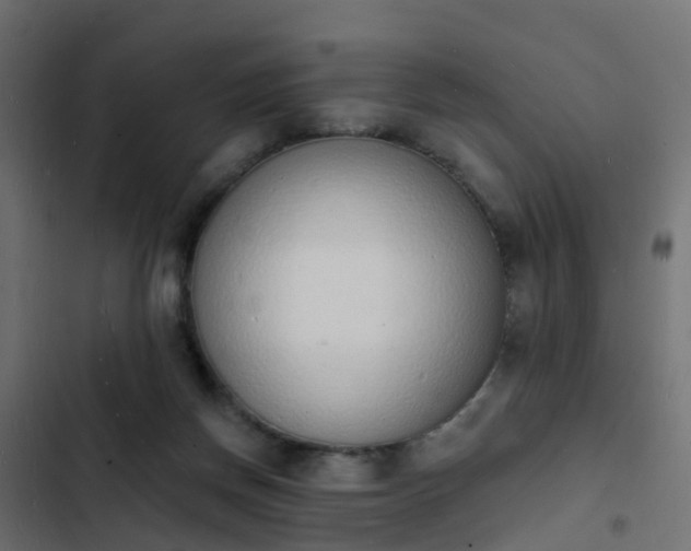 X0000103970166200809261842