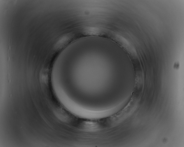 X0000103970167200809261842