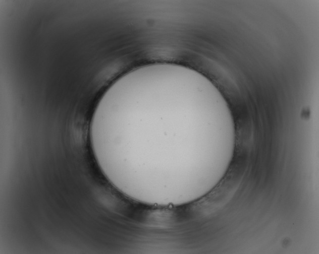 X0000103970168200809261842