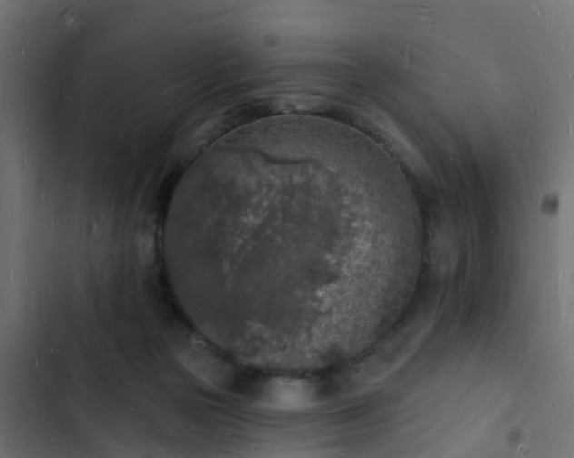 X0000103970169200809261842