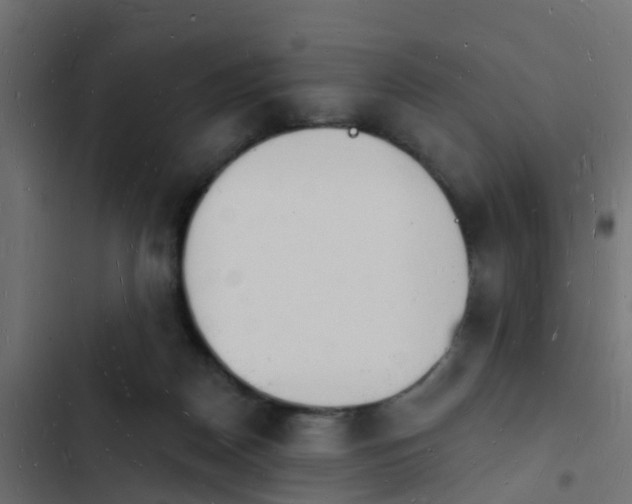 X0000103970170200809261842