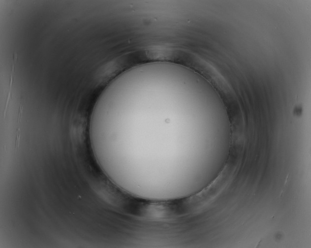 X0000103970171200809261842