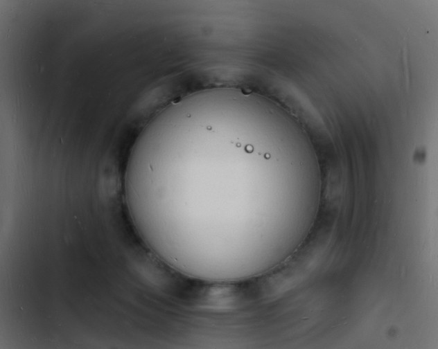 X0000103970173200809261842