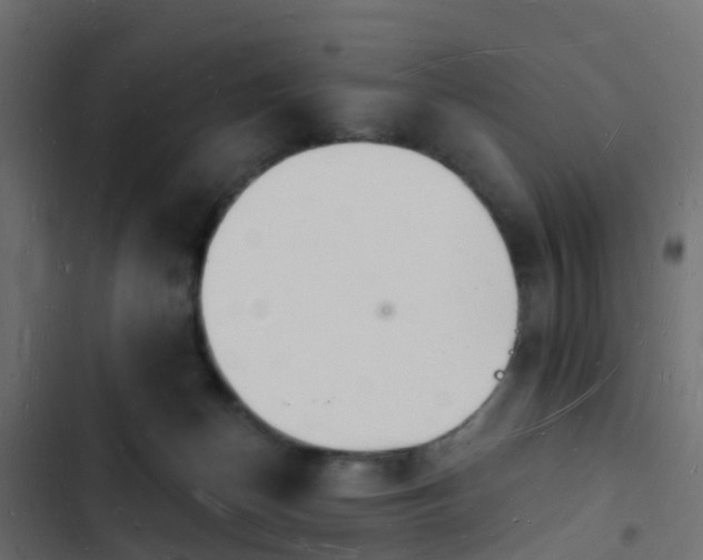 X0000103970174200809261842