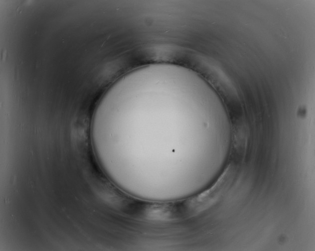 X0000103970175200809261842