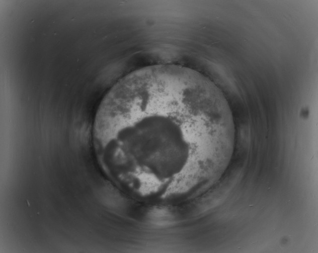 X0000103970177200809261842