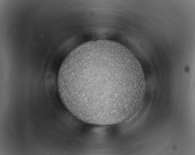 X0000103970178200809261842